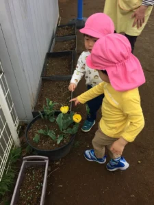 新年度が始まりました♪